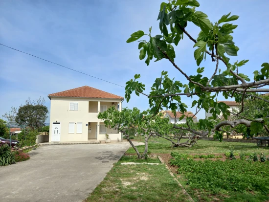 Apartmán Ostrov Murter - Murter OS 12048 N1