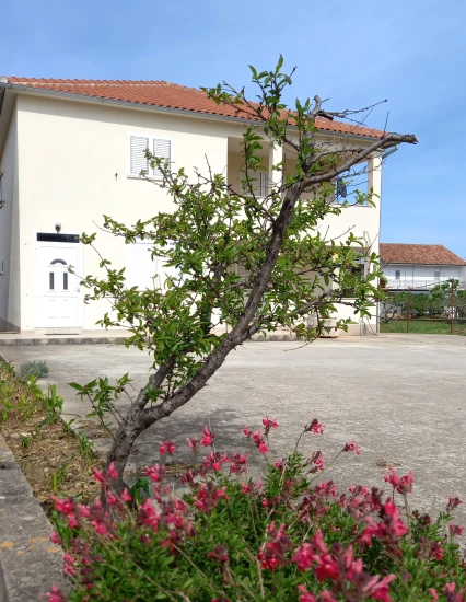 Apartmán Ostrov Murter - Murter OS 12048 N1