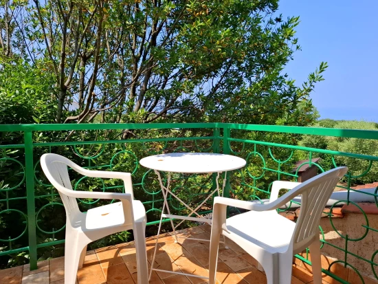 Apartmán Ostrov Krk - Malinska OS 12052 N1