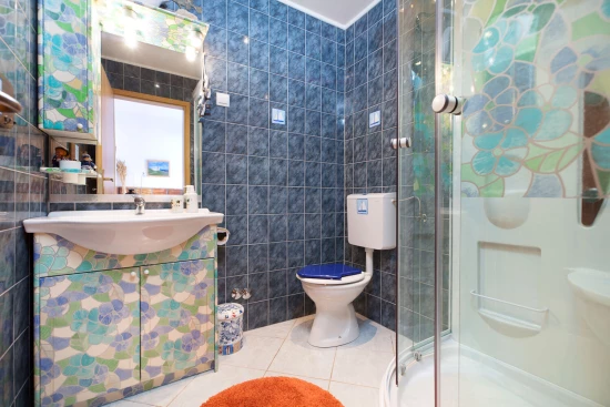 Apartmán Istrie - Ližnjan IS 8036 N7