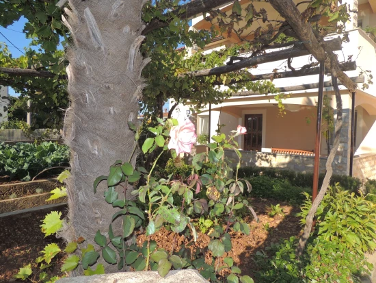 Apartmán Ostrov Krk - Malinska OS 12057 N1