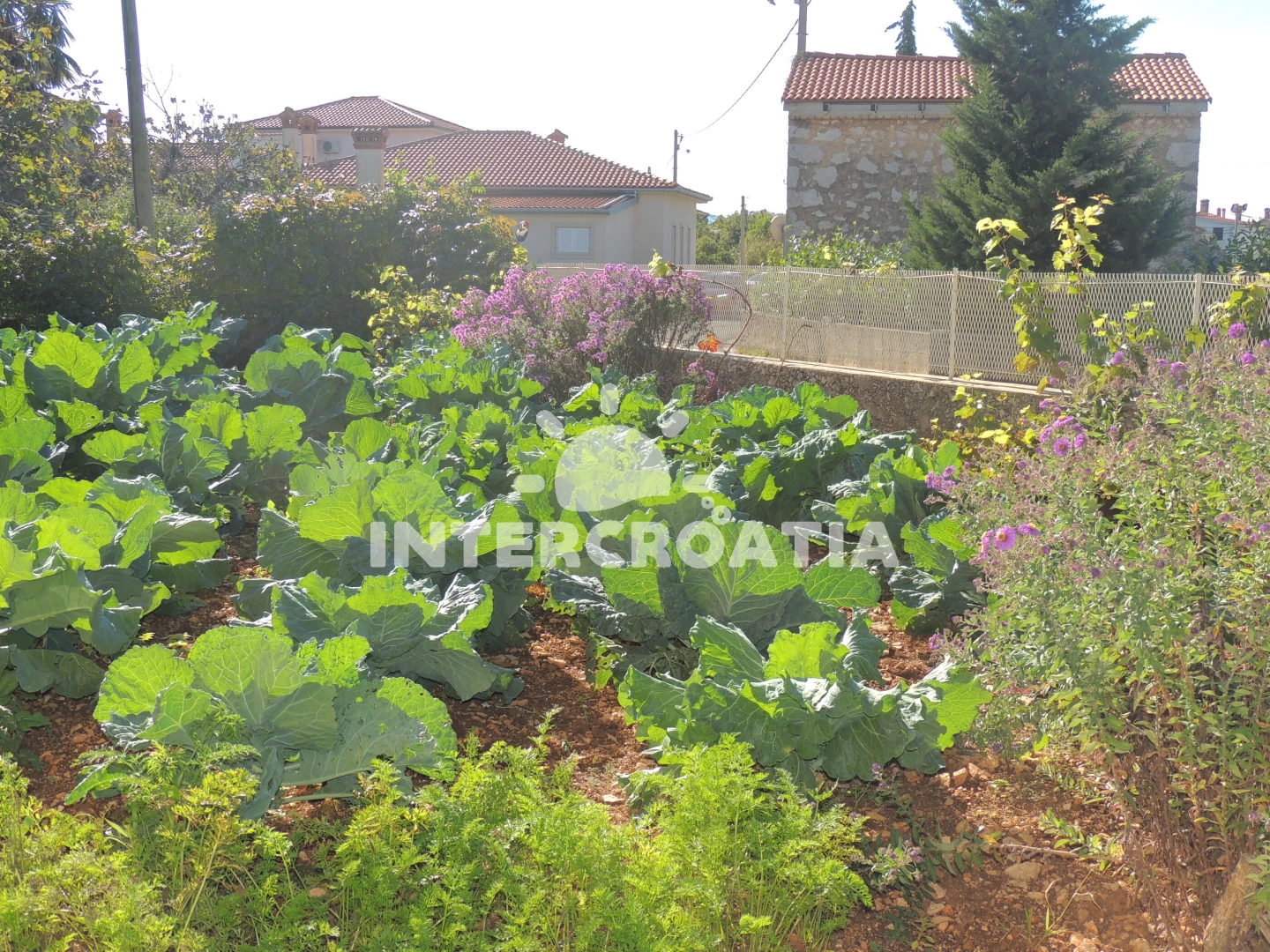 Apartmán Ostrov Krk - Malinska OS 12057 N1