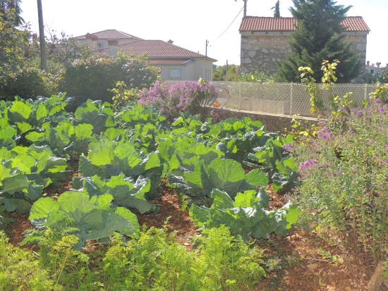 Apartmán Ostrov Krk - Malinska OS 12057 N1