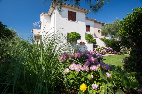 Apartmán Ostrov Krk - Krk OS 12063 N1