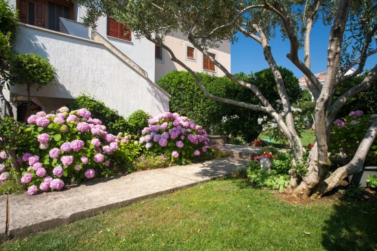 Apartmán Ostrov Krk - Krk OS 12063 N1