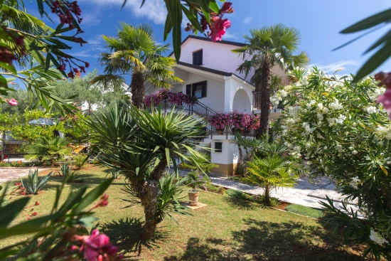 Apartmán Ostrov Krk - Malinska OS 12124 N1