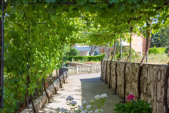 Apartmán Ostrov Krk - Malinska OS 12130 N1