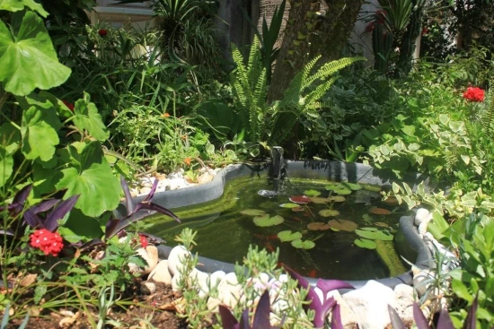 Apartmán Jižní Dalmácie - Orebić DA 17131 N4