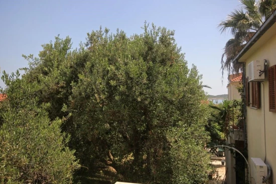 Apartmán Jižní Dalmácie - Orebić DA 17131 N4