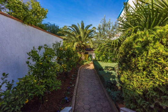 Apartmán Istrie - Banjole IS 8043 N2