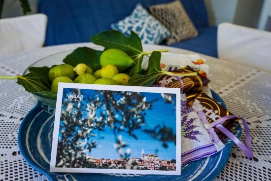 Apartmán Istrie - Vrsar IS 8044 N1