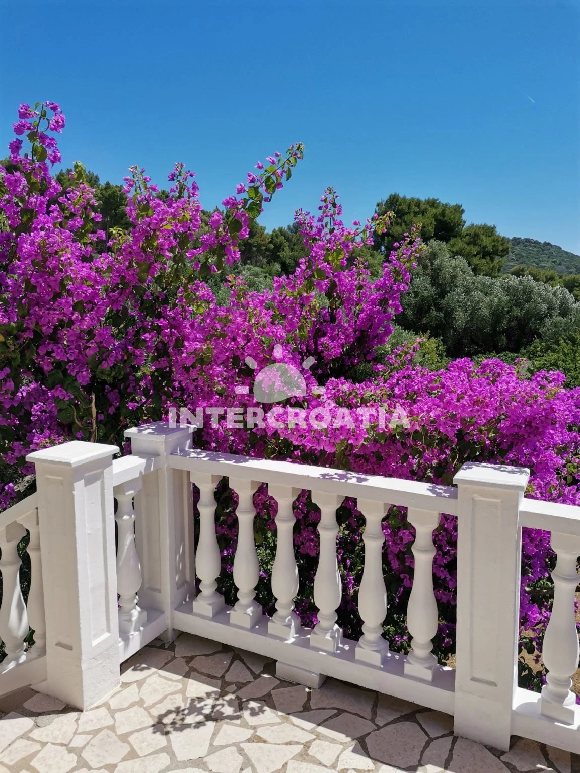 Apartmán Ostrov Lošinj - Mali Lošinj OS 12152 N1