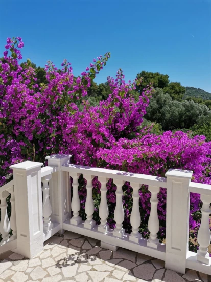 Apartmán Ostrov Lošinj - Mali Lošinj OS 12152 N1