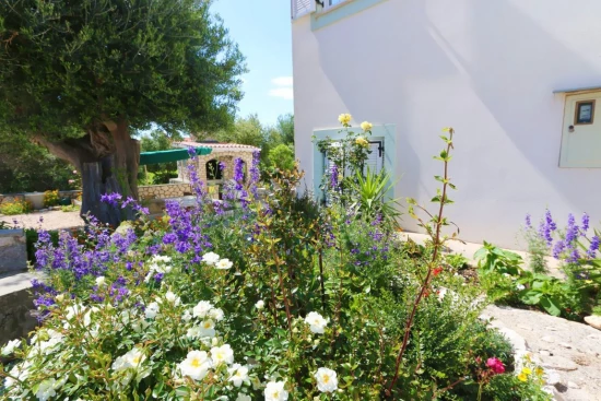 Apartmán Ostrov Pag - Jakišnica OS 12152 N6