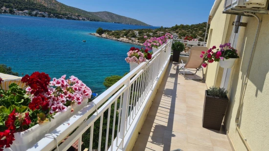 Apartmán Severní Dalmácie - Grebaštica DA 17152 N1