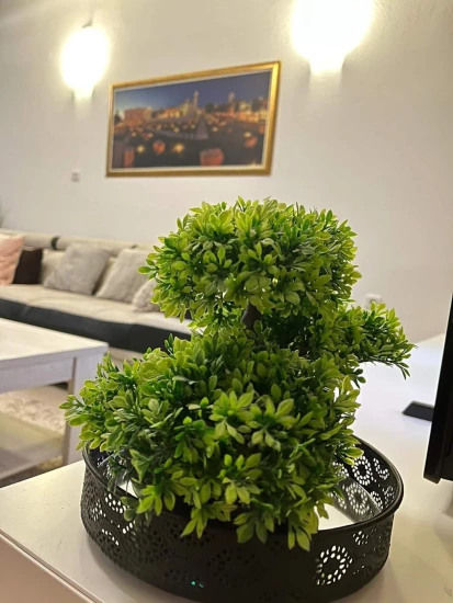 Domek Severní Dalmácie - Galovac (Zadar) DA 17153 N1