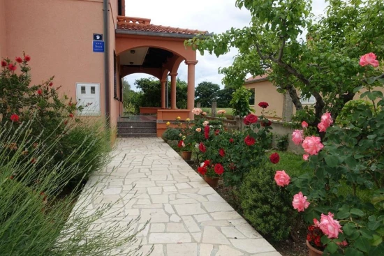 Apartmán Severní Dalmácie - Nin DA 17155 N1