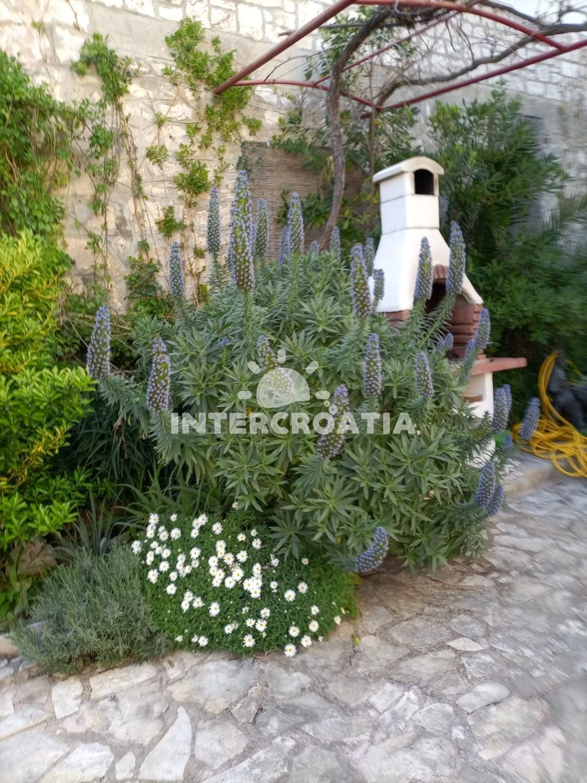 Apartmán Ostrov Brač - Sutivan OS 12156 N2