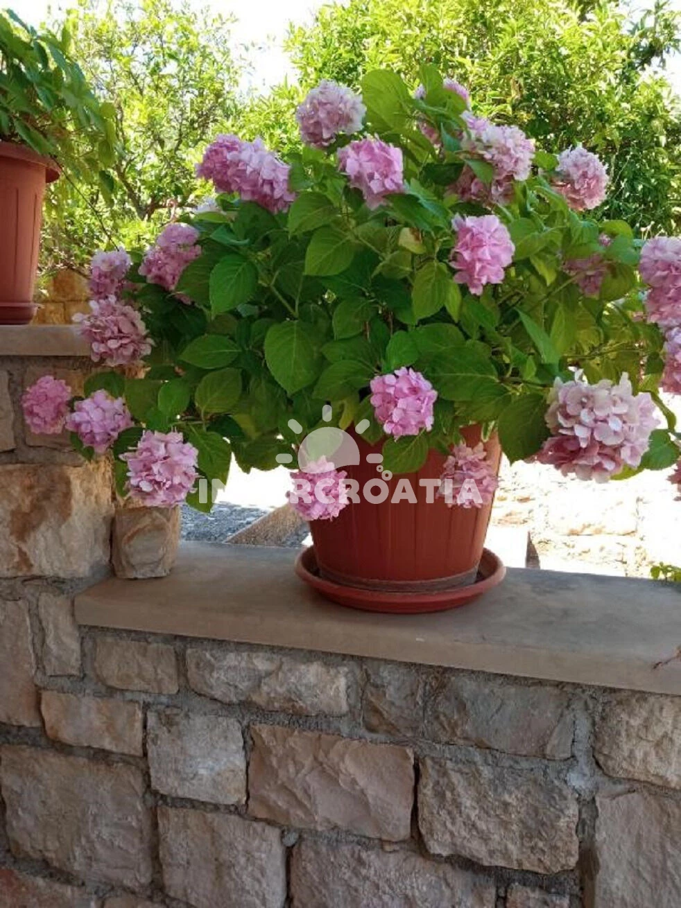 Apartmán Ostrov Brač - Supetar OS 12156 N2