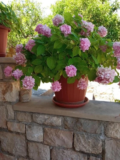 Apartmán Ostrov Brač - Supetar OS 12156 N2