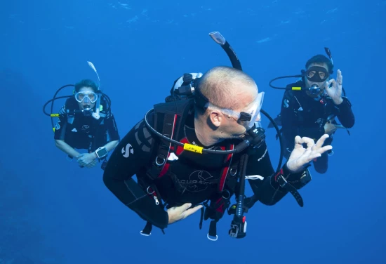 Apartmán Ostrov Korčula - Lumbarda OS 12156 N2