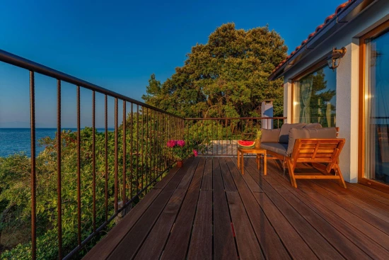 Domek Střední Dalmácie - Blato DA 17163 N1