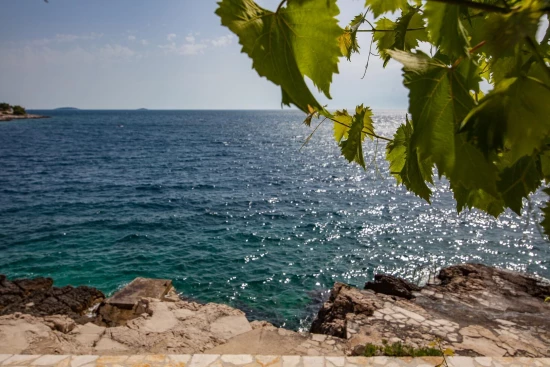 Apartmán Severní Dalmácie - Bilo (Primošten) DA 17165 N1