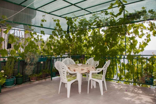 Apartmán Severní Dalmácie - Bilo (Primošten) DA 17165 N1