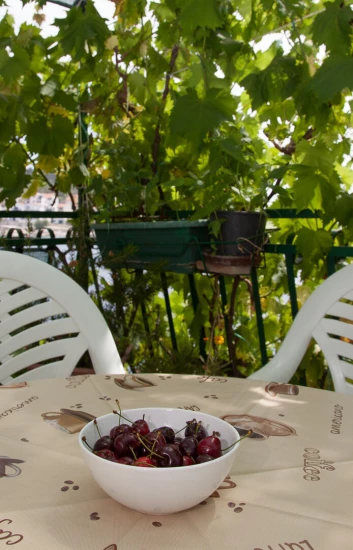 Apartmán Severní Dalmácie - Bilo (Primošten) DA 17165 N1