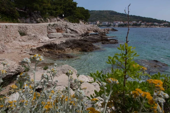 Apartmán Severní Dalmácie - Bilo (Primošten) DA 17165 N2