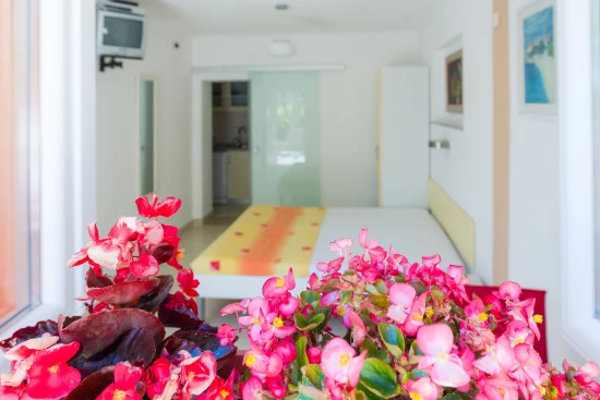 Apartmán Ostrov Brač - Bol OS 12159 N4