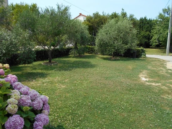 Apartmán Ostrov Rab - Palit OS 12161 N1