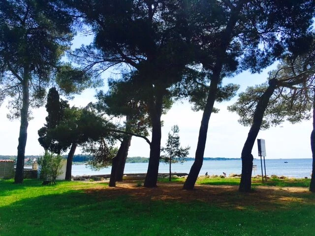 Apartmán Istrie - Umag IS 8048 N1