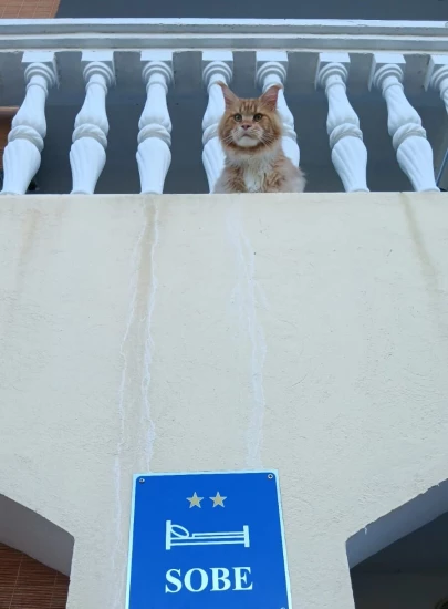 Apartmánový pokoj Severní Dalmácie - Starigrad Paklenica DA 17168 N1