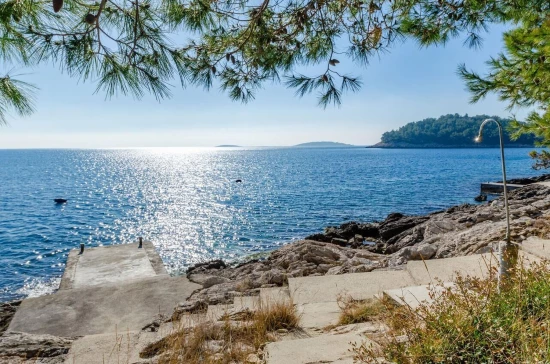 Domek Střední Dalmácie - Blato DA 17169 N1