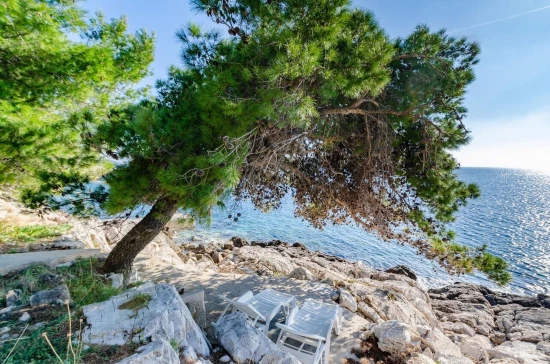 Domek Střední Dalmácie - Blato DA 17169 N1