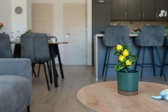 Apartmán Severní Dalmácie - Zaton (Petrčane) DA 17173 N1