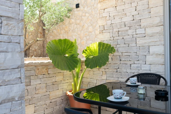 Apartmán Severní Dalmácie - Zaton (Petrčane) DA 17173 N1