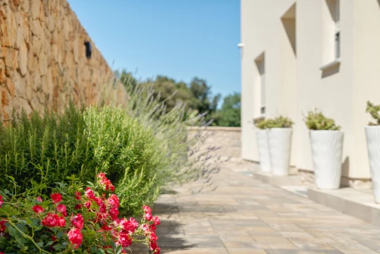 Apartmán Severní Dalmácie - Zaton (Petrčane) DA 17173 N2