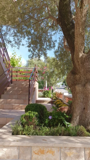 Apartmán Ostrov Rab - Supetarska Draga OS 12165 N2