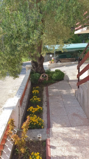 Apartmán Ostrov Rab - Supetarska Draga OS 12165 N3