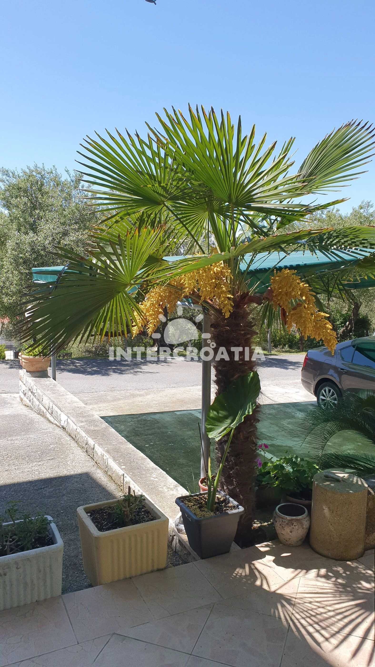 Apartmán Ostrov Rab - Supetarska Draga OS 12166 N1