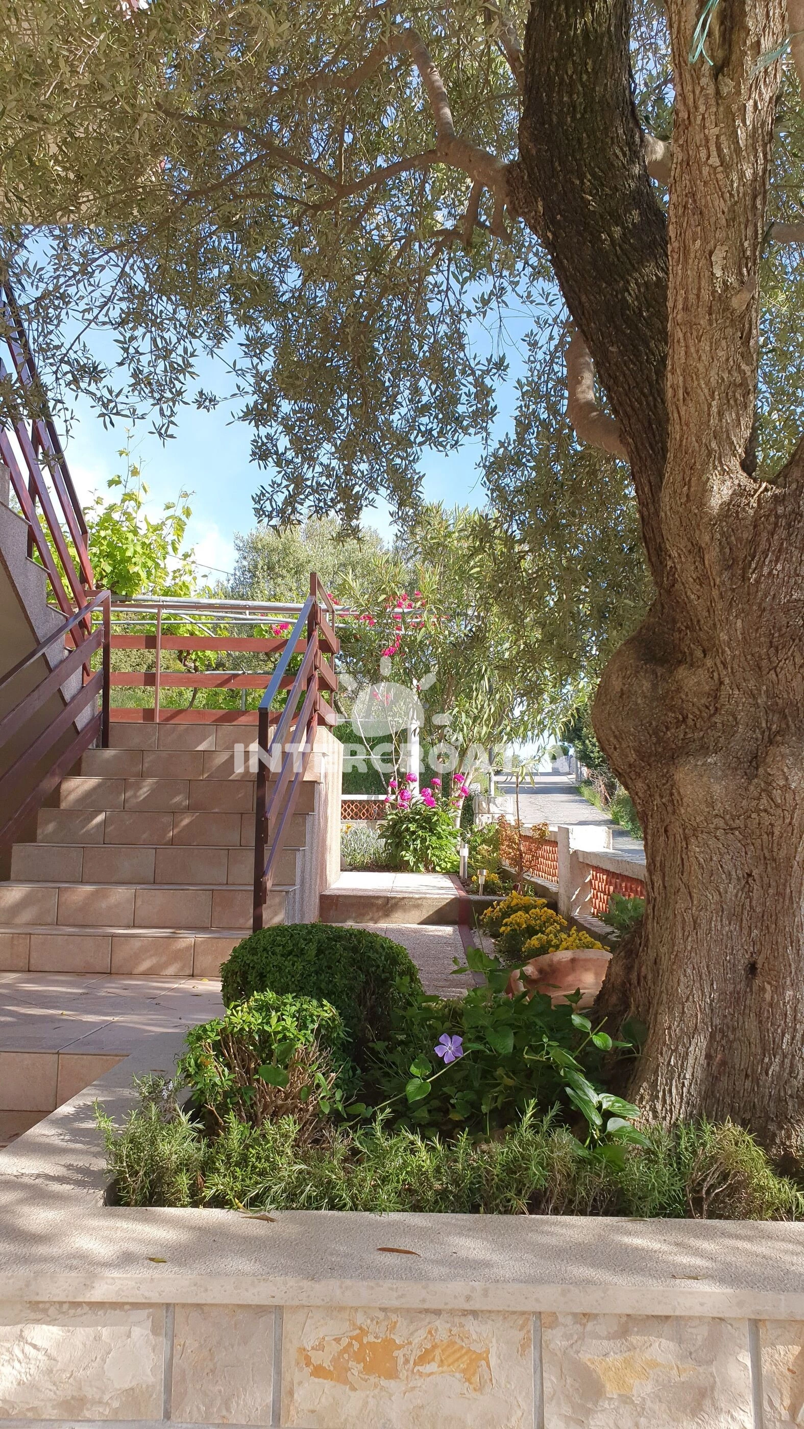 Apartmán Ostrov Rab - Supetarska Draga OS 12166 N1