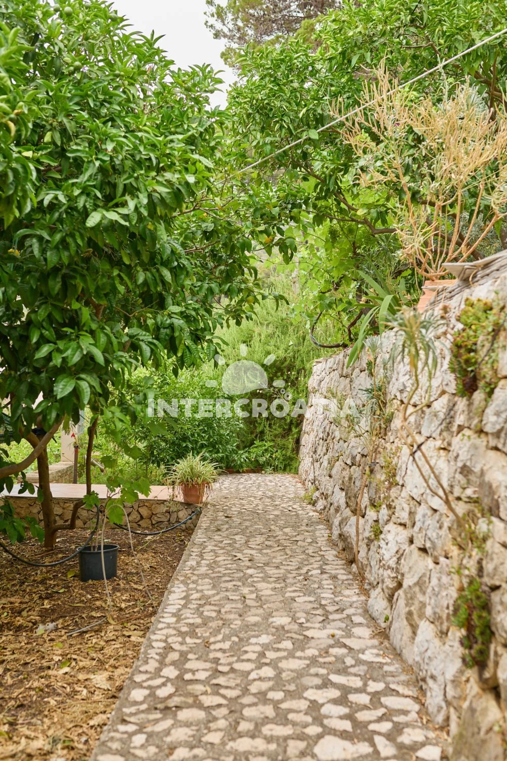 Apartmán Ostrov Mljet - Saplunara OS 12167 N2