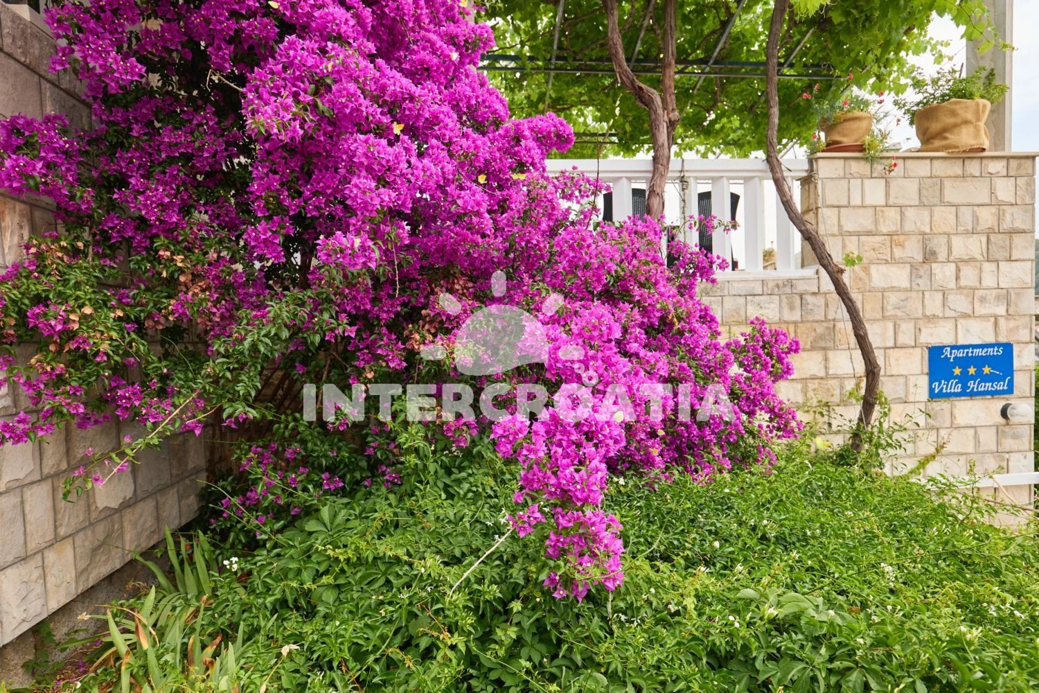 Apartmán Ostrov Mljet - Saplunara OS 12167 N3