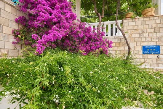 Apartmán Ostrov Mljet - Saplunara OS 12167 N3