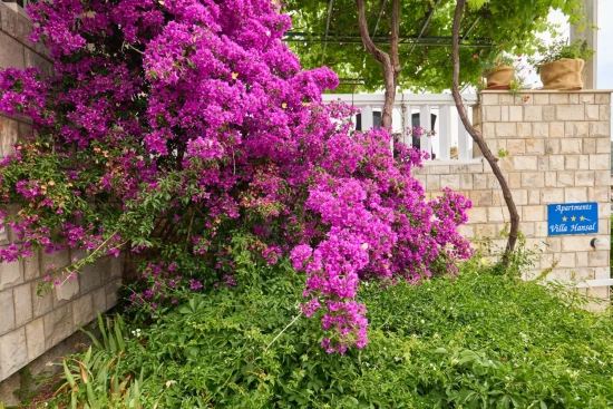 Apartmán Ostrov Mljet - Saplunara OS 12167 N4