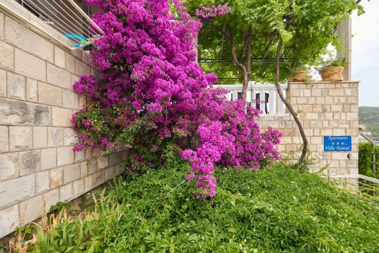 Apartmán Ostrov Mljet - Saplunara OS 12167 N4