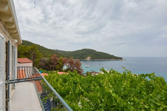 Apartmán Ostrov Mljet - Saplunara OS 12167 N4