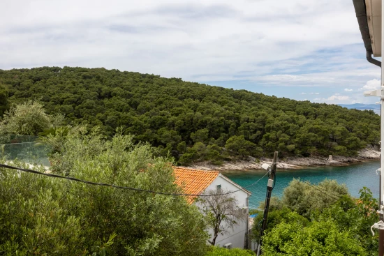 Apartmán Ostrov Brač - Postira OS 12168 N3